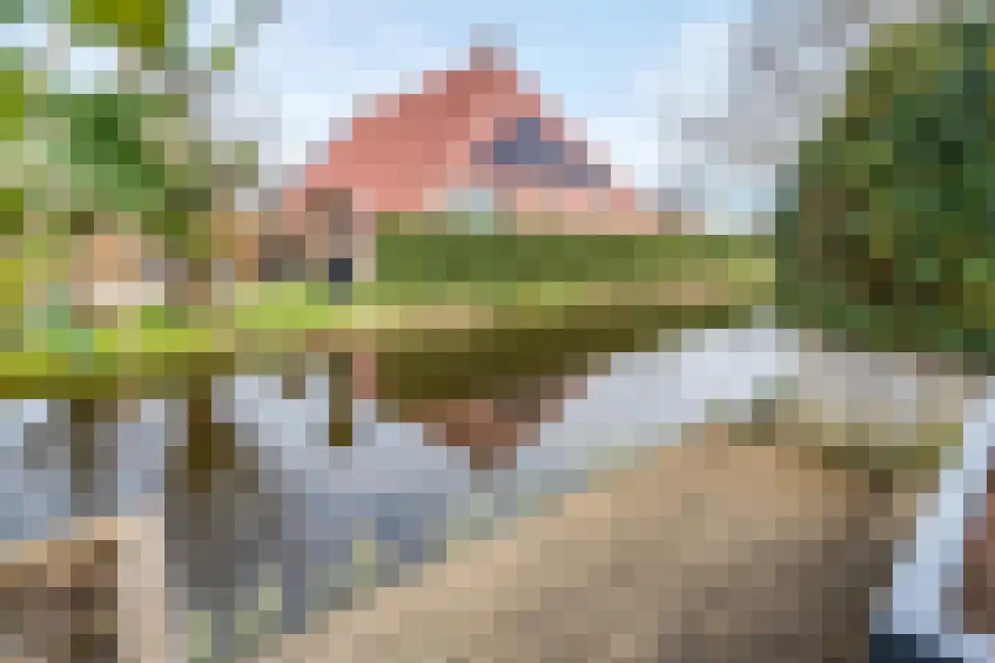 De Fûke 19 Workum thumbnail 41