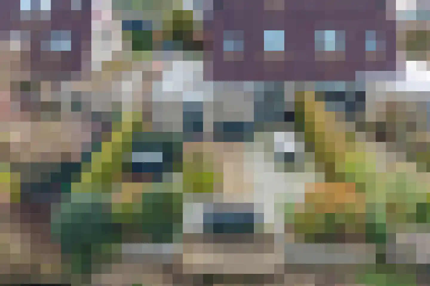 De Fûke 19 Workum thumbnail 45