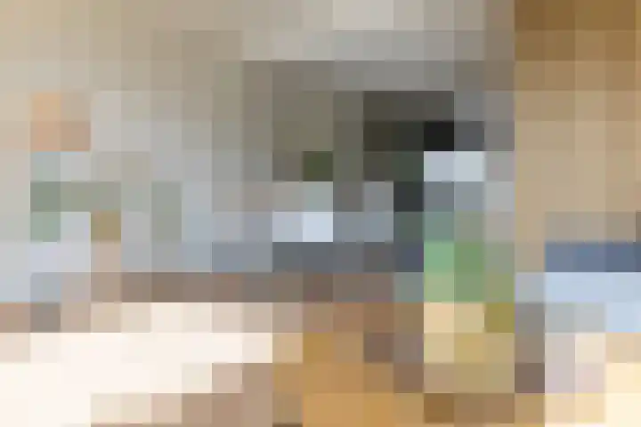 De Fûke 19 Workum thumbnail 48
