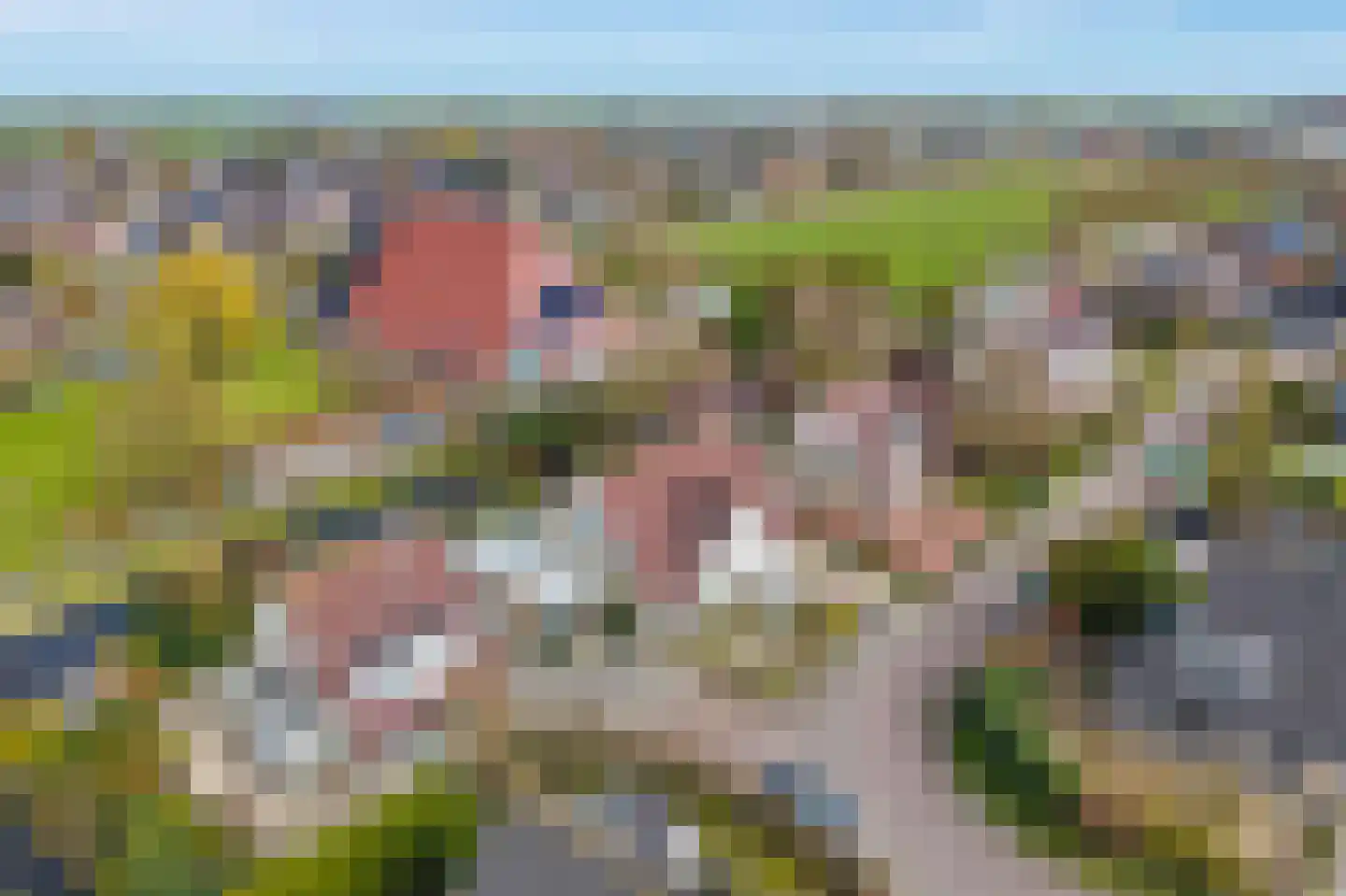 De Fûke 19 Workum thumbnail 49