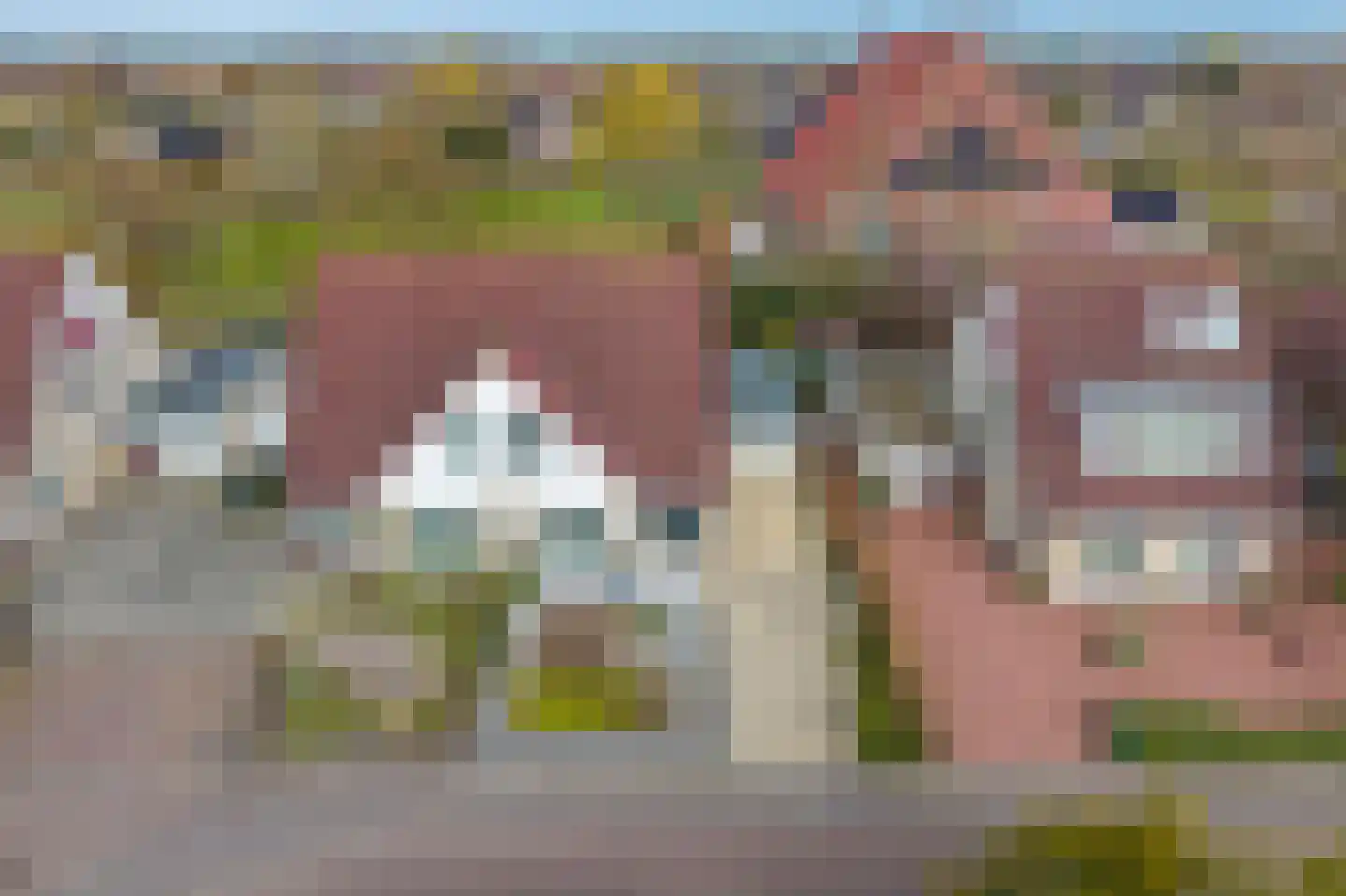 De Fûke 19 Workum thumbnail 50