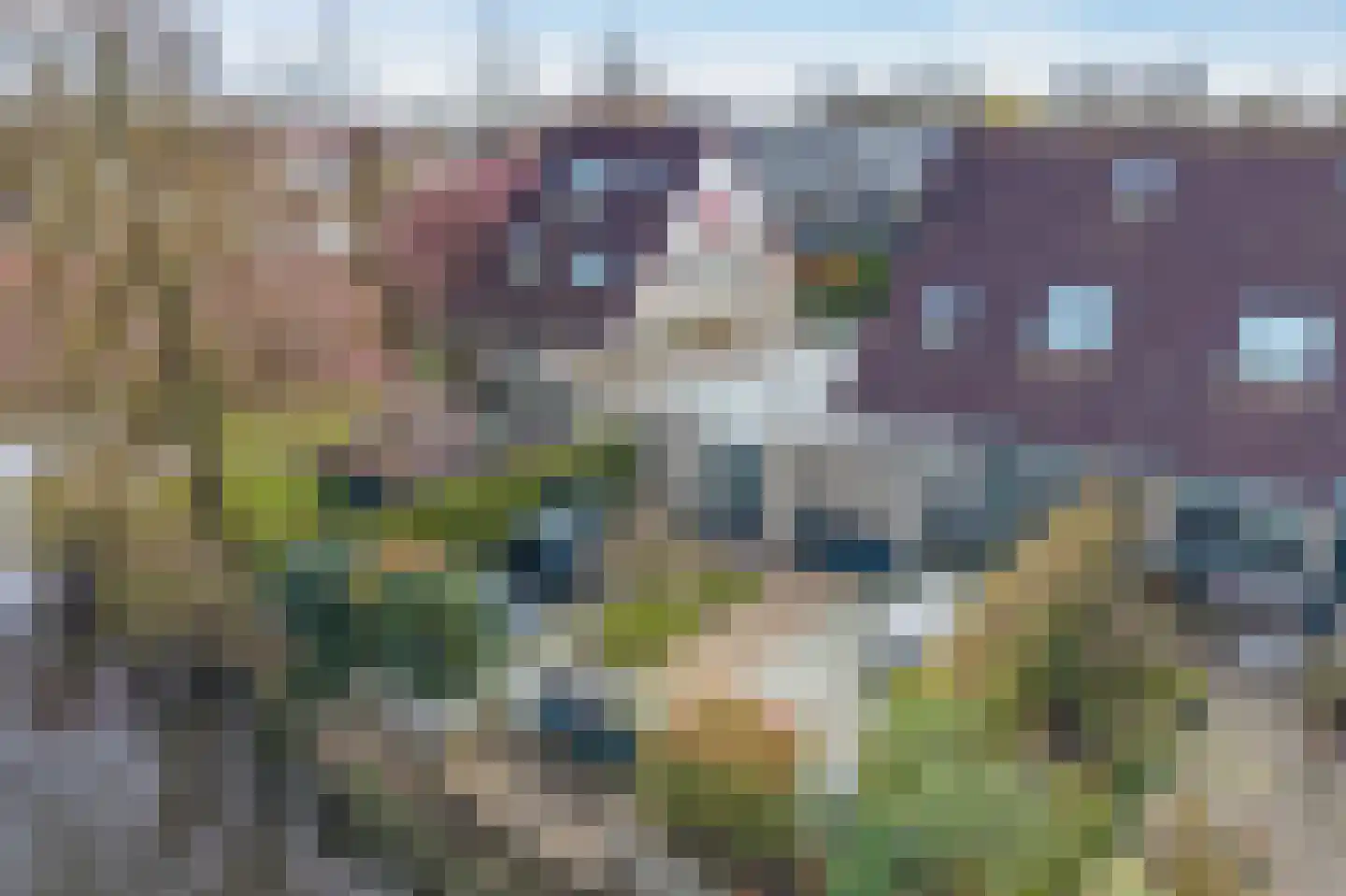 De Fûke 19 Workum thumbnail 51