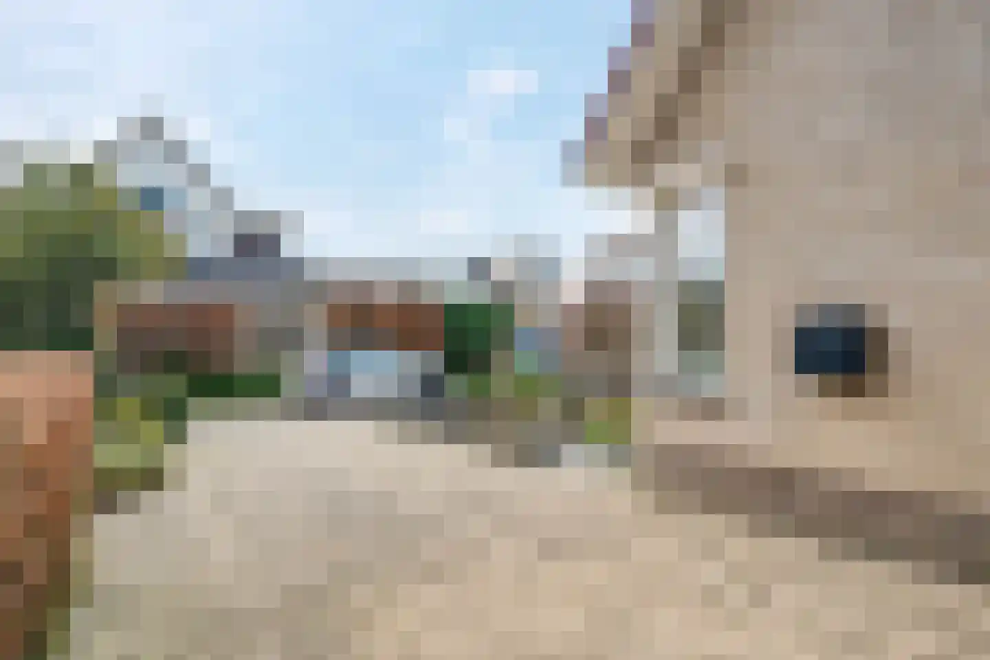 De Fûke 19 Workum thumbnail 6