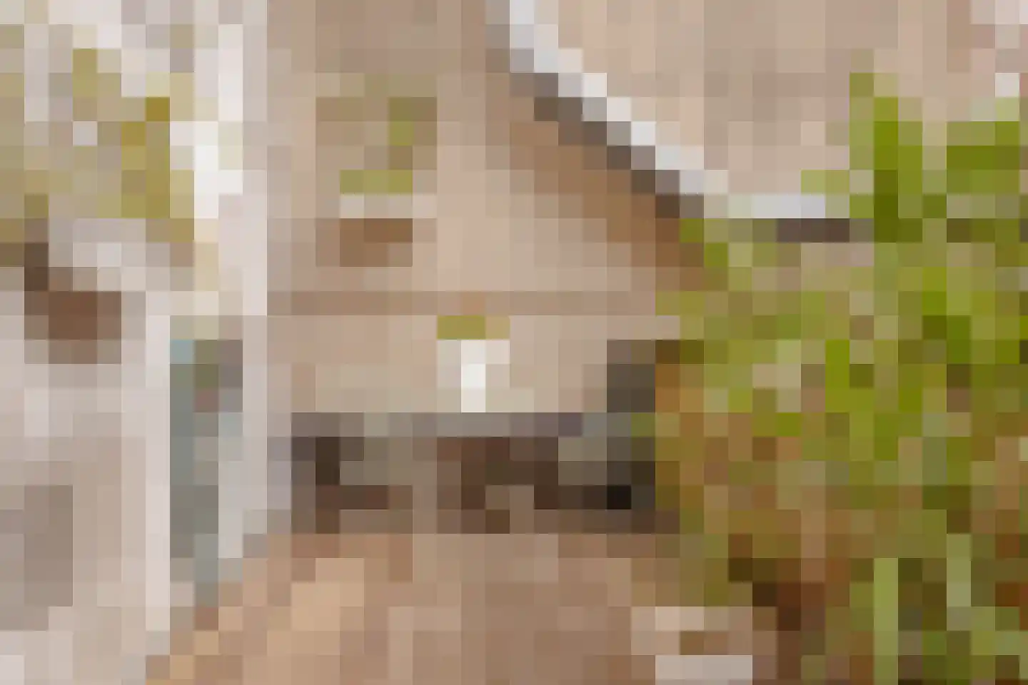 De Fûke 19 Workum thumbnail 9