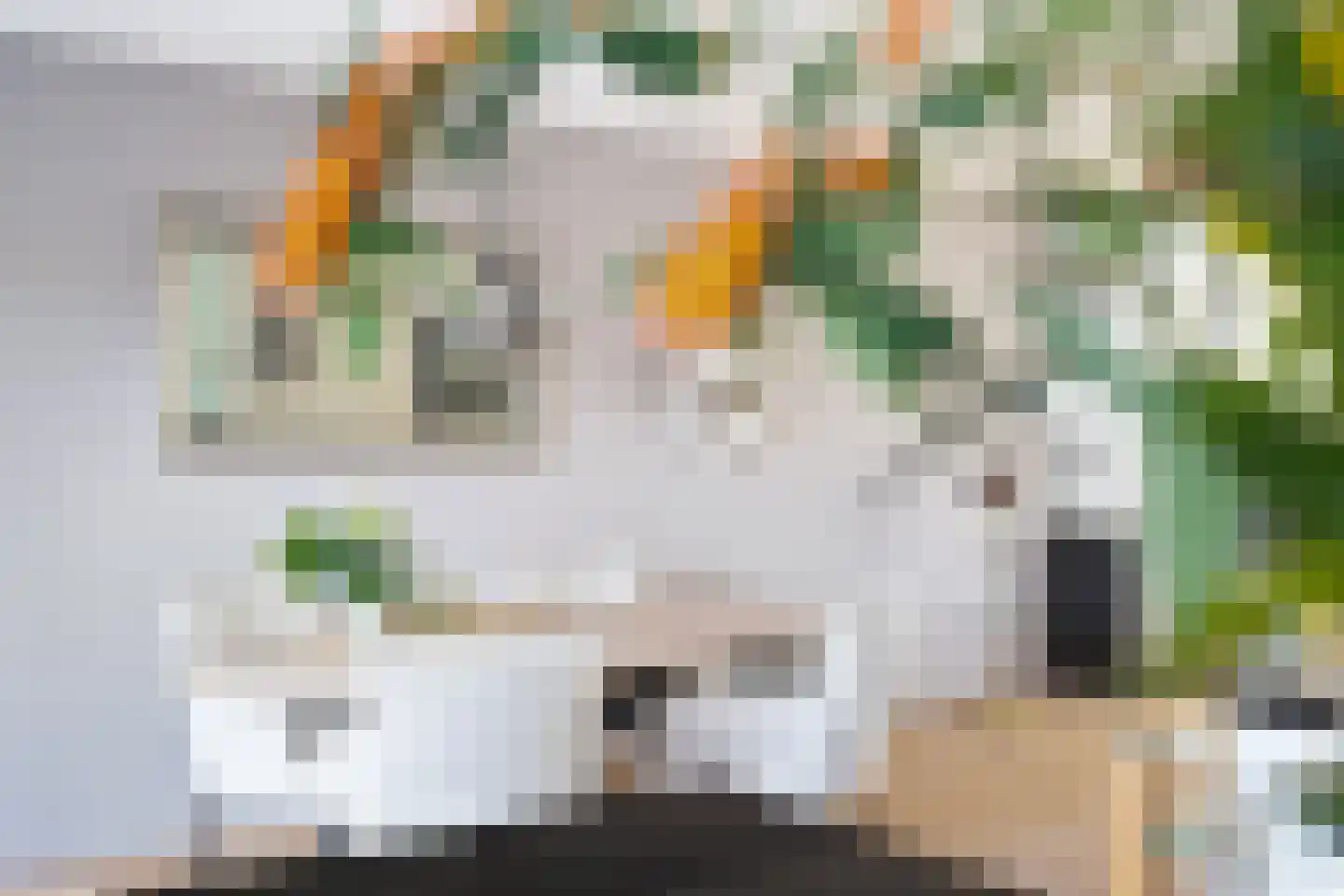 De Fûke 34 Grou thumbnail 15