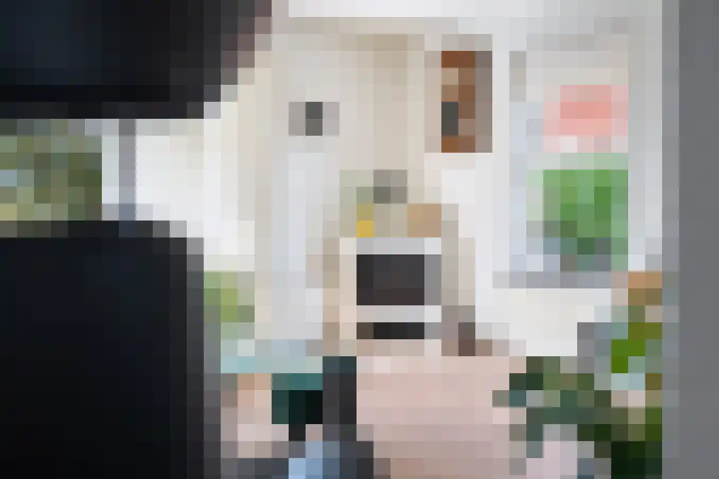De Fûke 34 Grou thumbnail 16