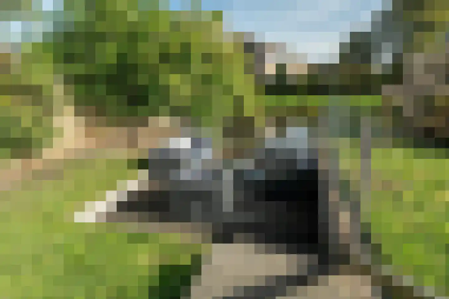 De Fûke 34 Grou thumbnail 23