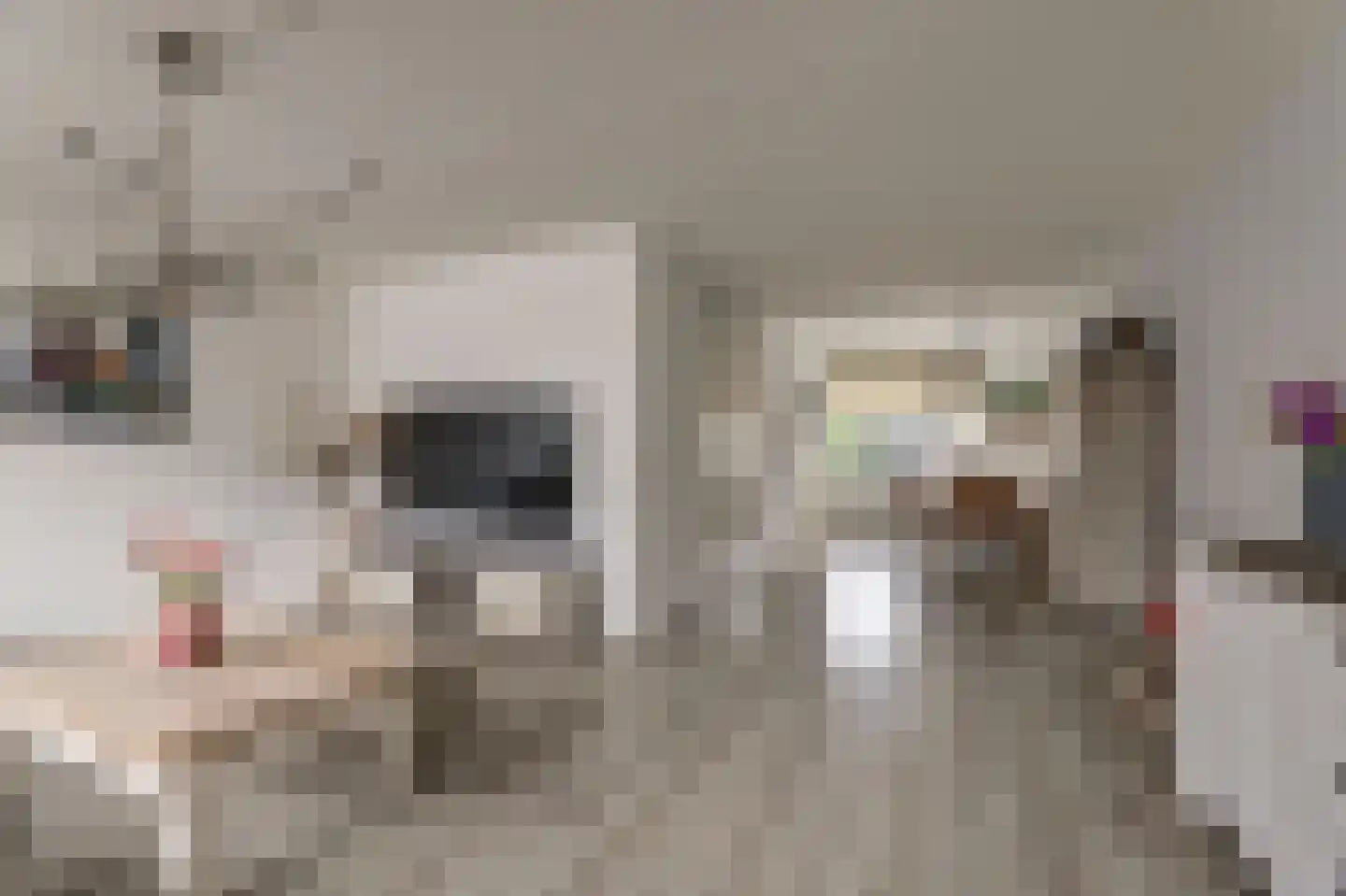 De Fûke 5 Workum thumbnail 10
