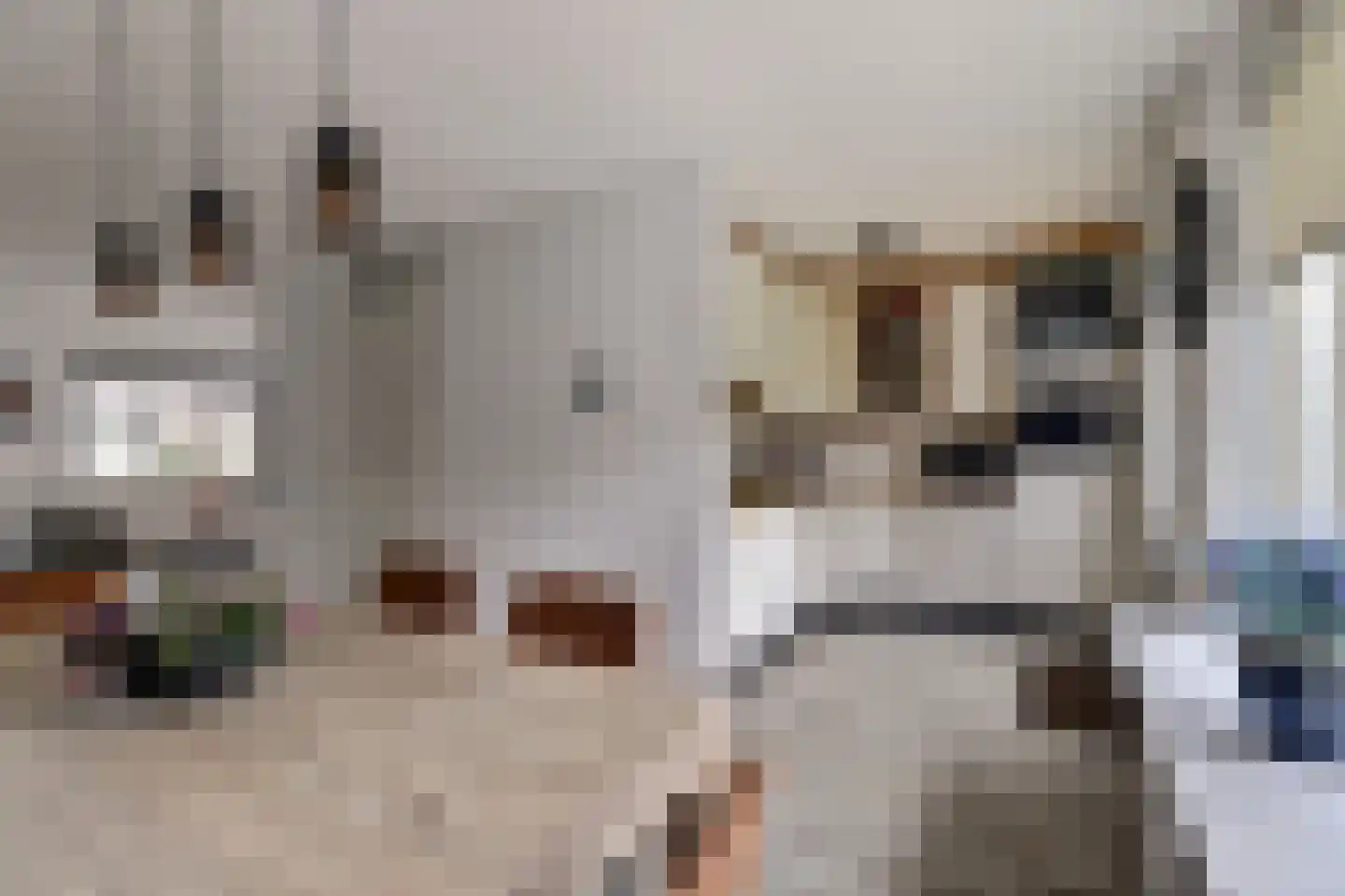 De Fûke 5 Workum thumbnail 12
