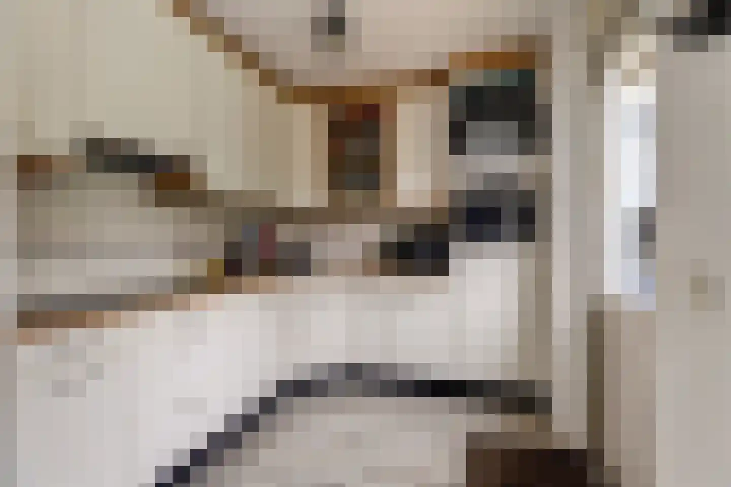 De Fûke 5 Workum thumbnail 13