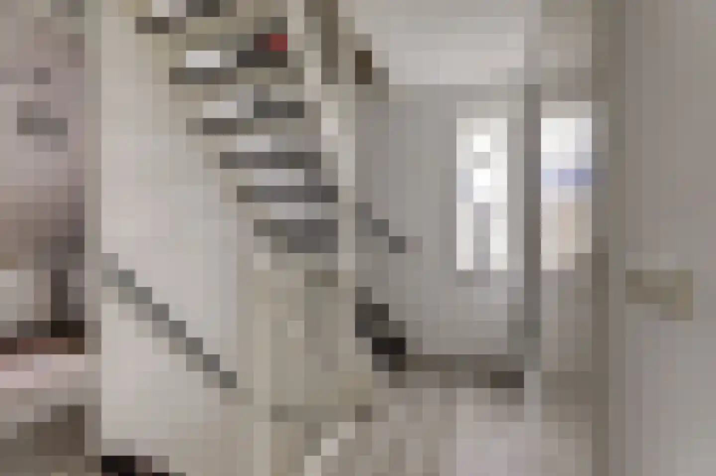 De Fûke 5 Workum thumbnail 15