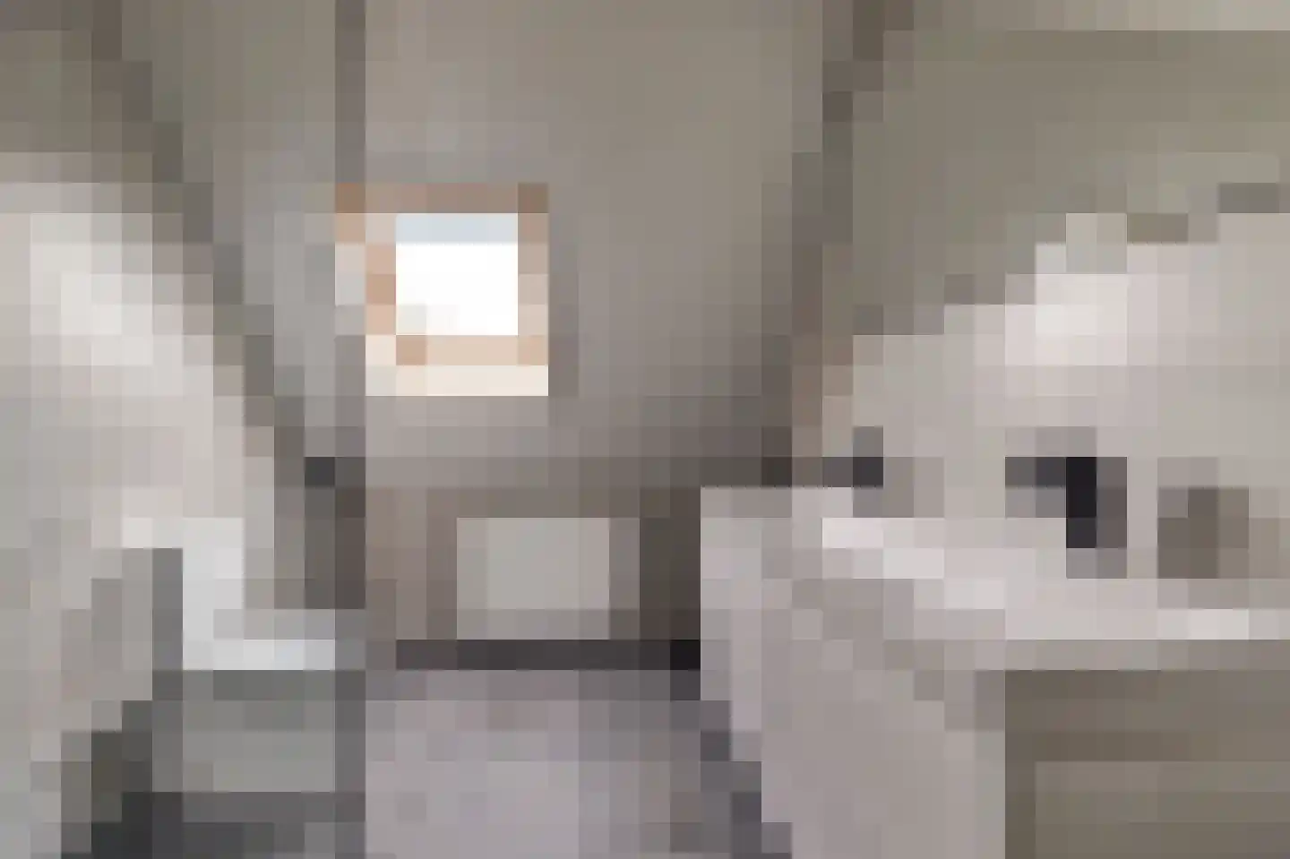 De Fûke 5 Workum thumbnail 19