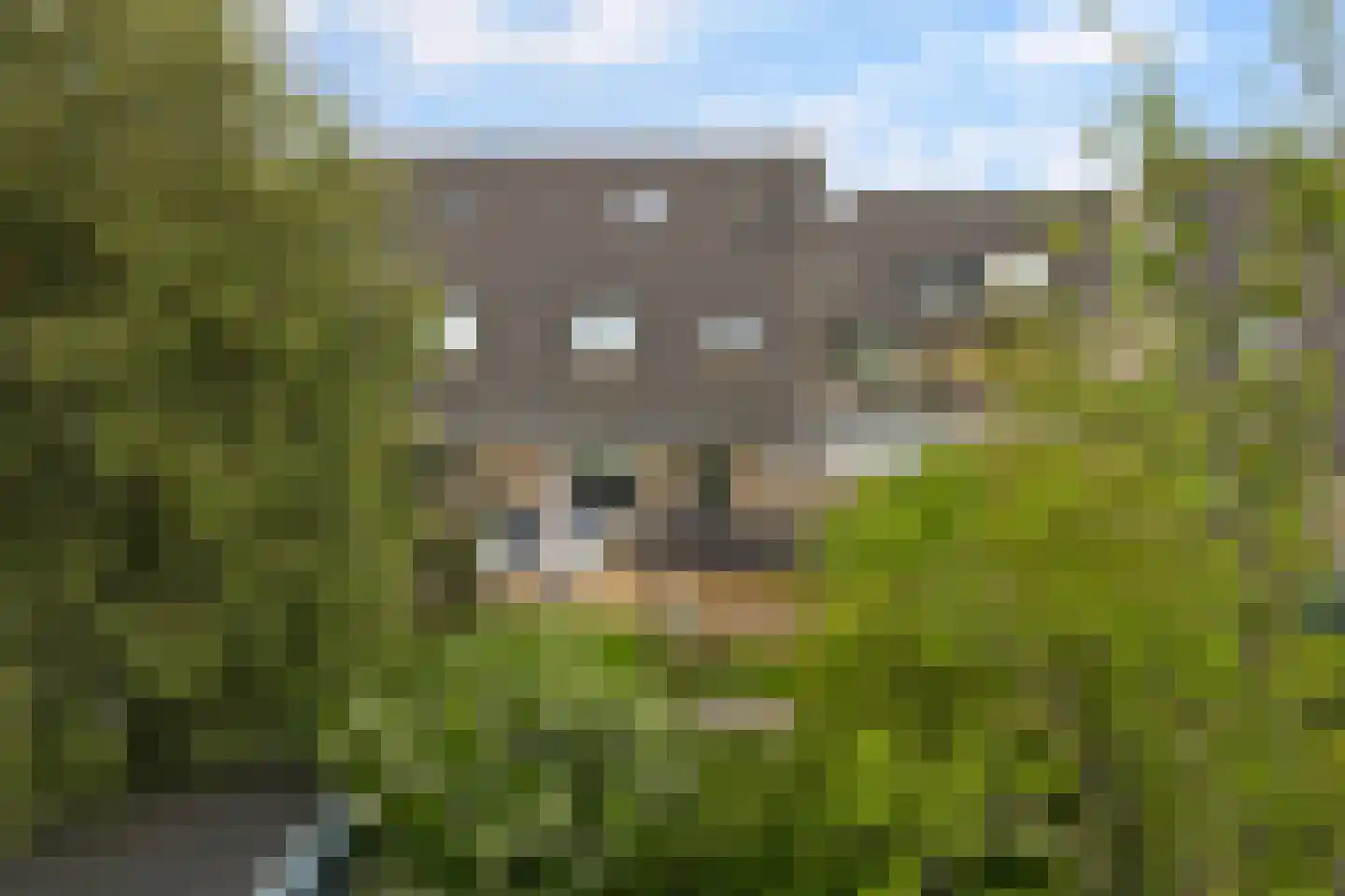 De Fûke 5 Workum thumbnail 33