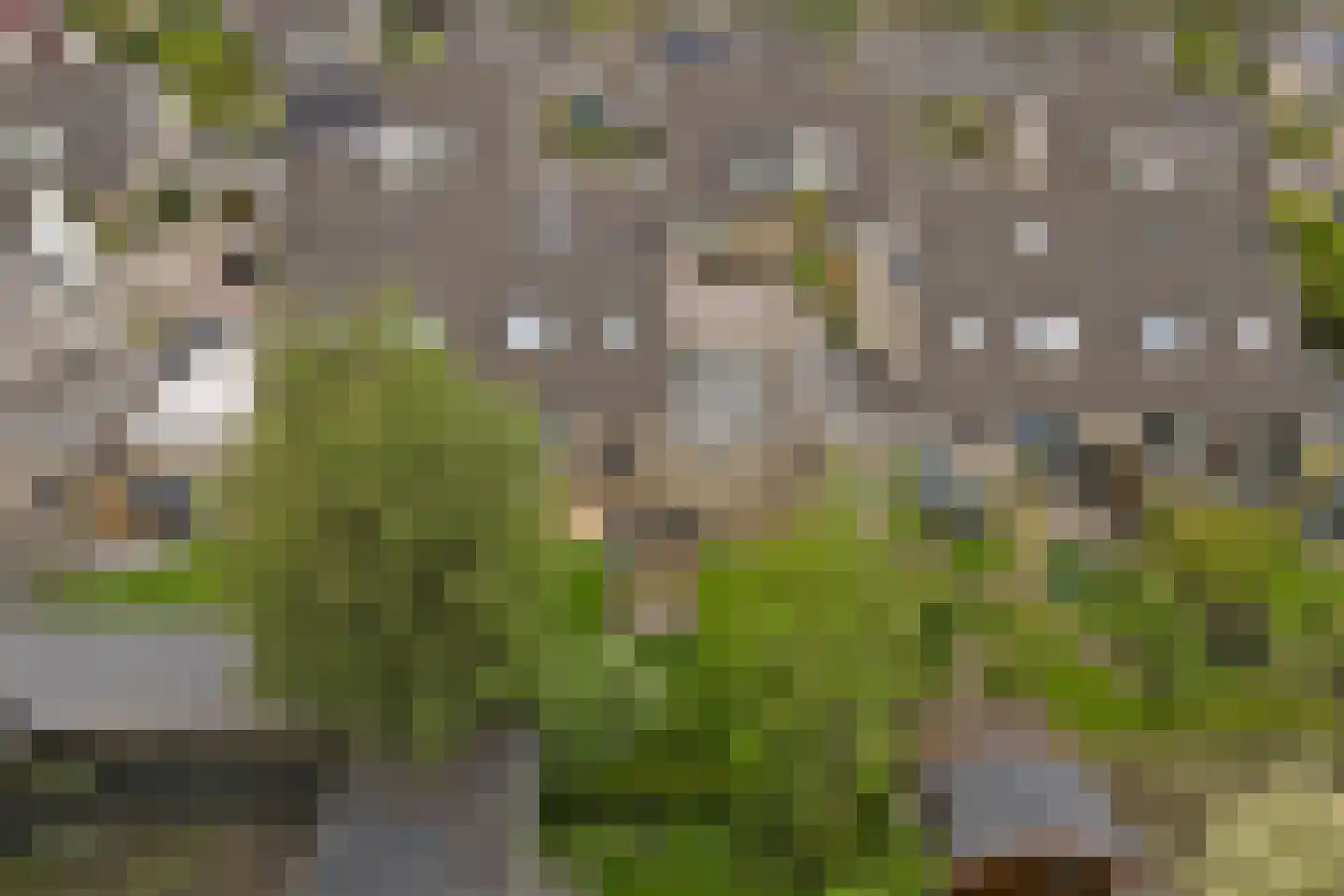 De Fûke 5 Workum thumbnail 34