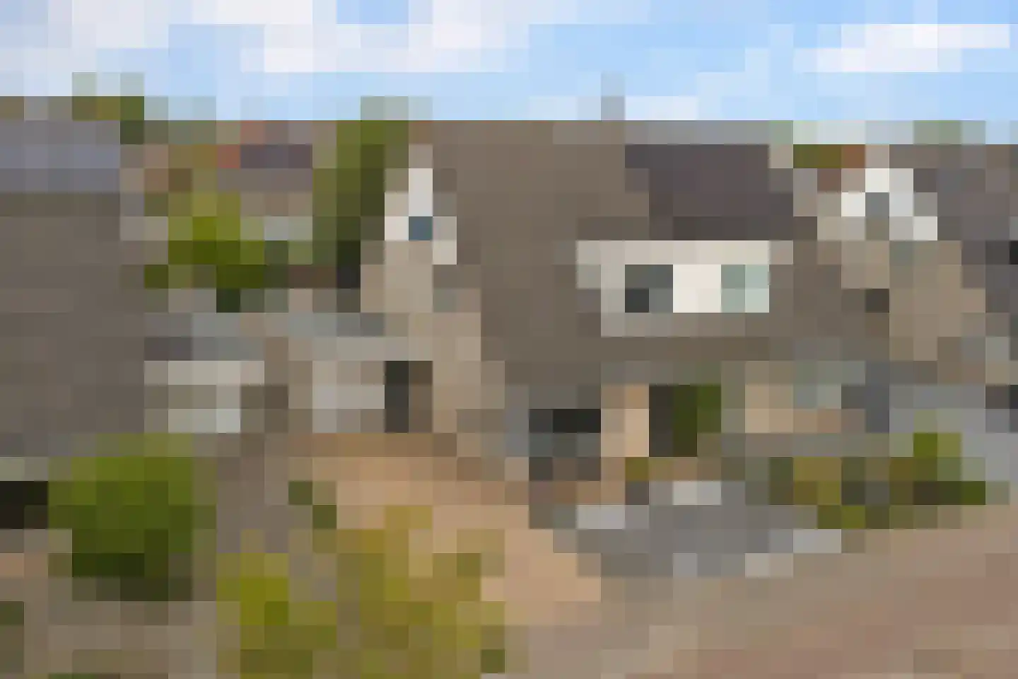 De Fûke 5 Workum thumbnail 35