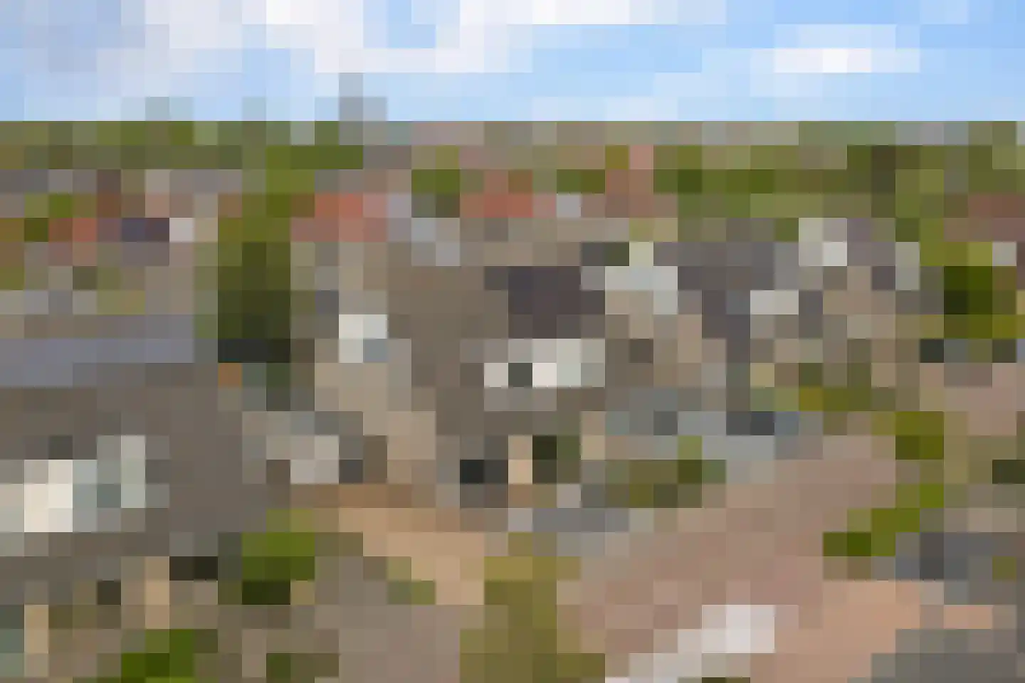 De Fûke 5 Workum thumbnail 36