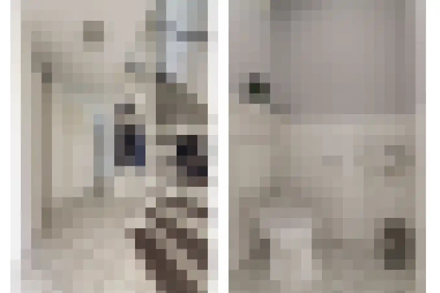 De Fûke 5 Workum thumbnail 7