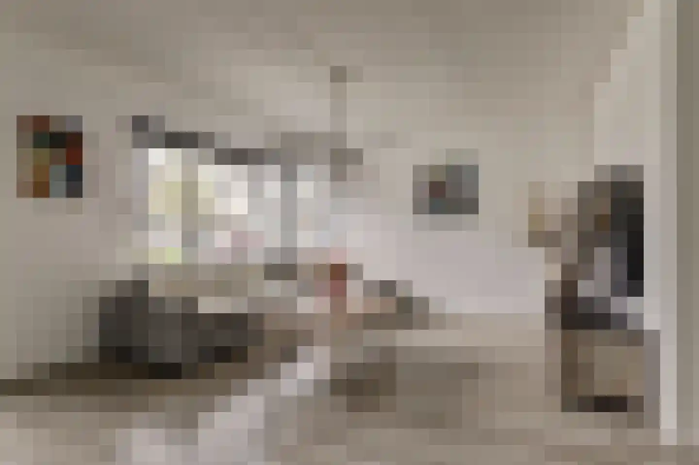 De Fûke 5 Workum thumbnail 8