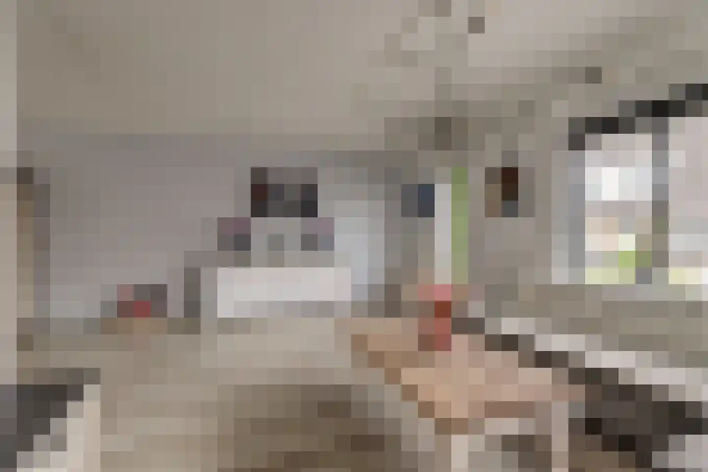 De Fûke 5 Workum thumbnail 9