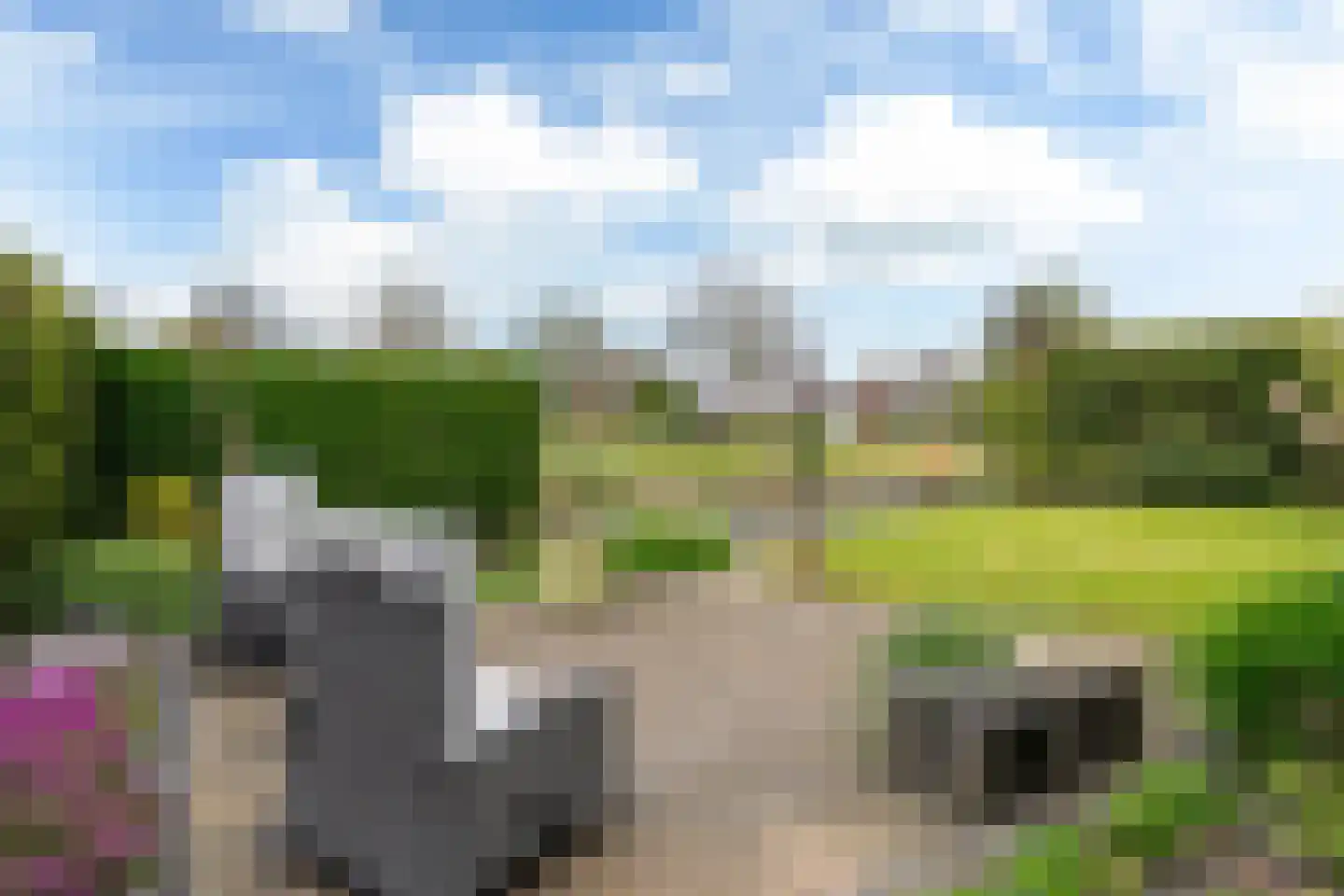 De Fûke 6 Grou thumbnail 13
