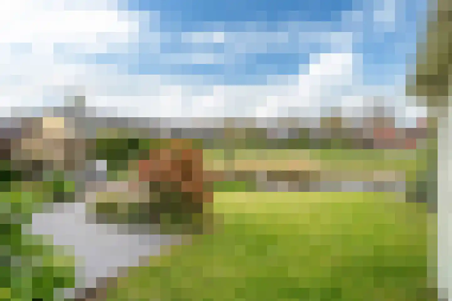De Fûke 6 Grou thumbnail 14