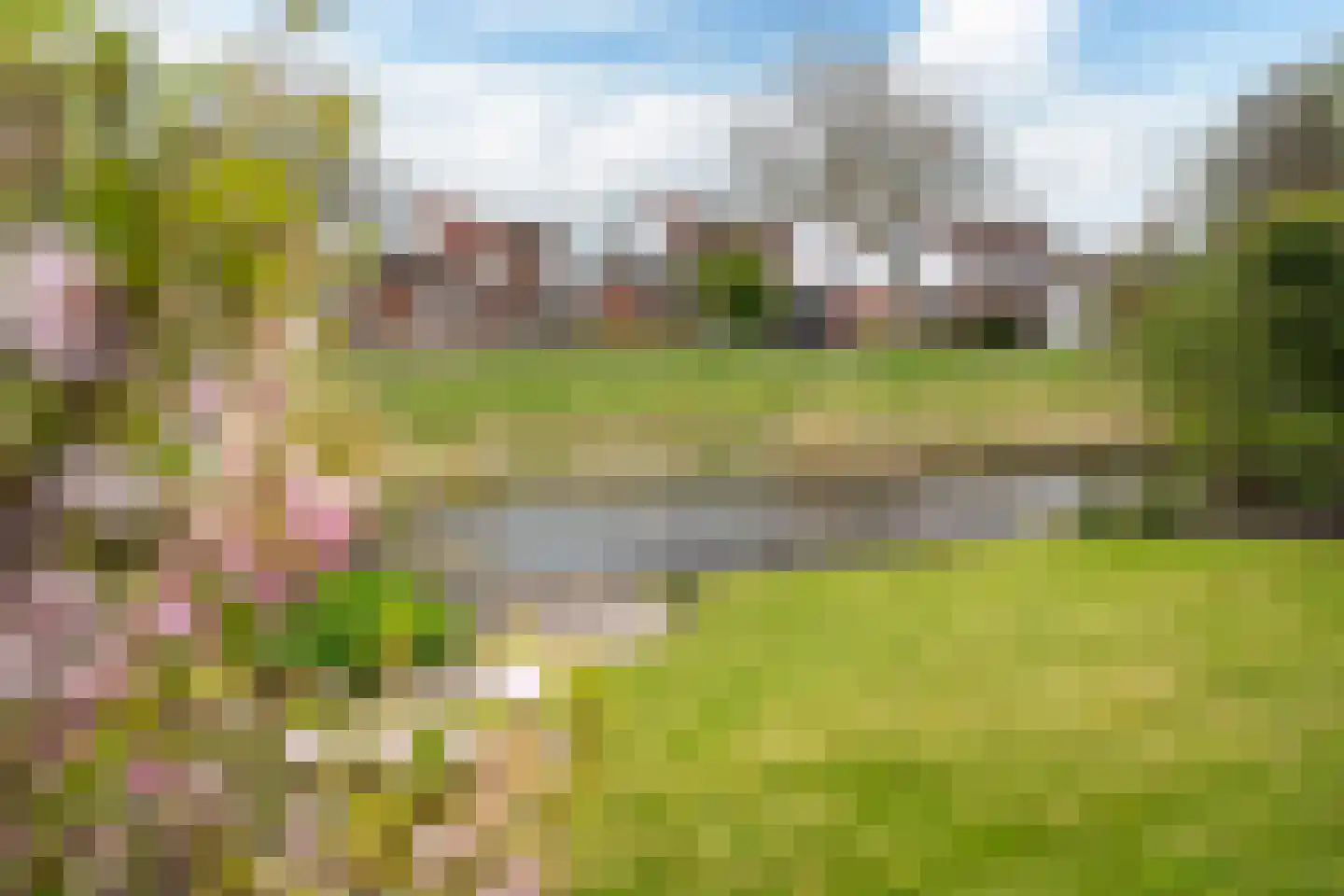 De Fûke 6 Grou thumbnail 15