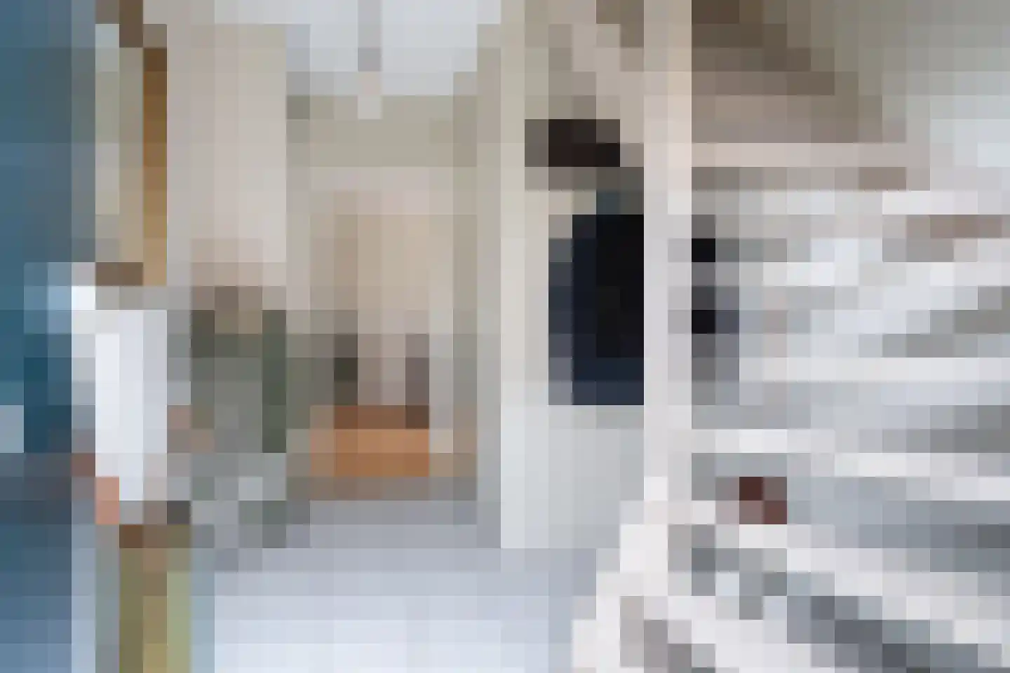 De Fûke 6 Grou thumbnail 25