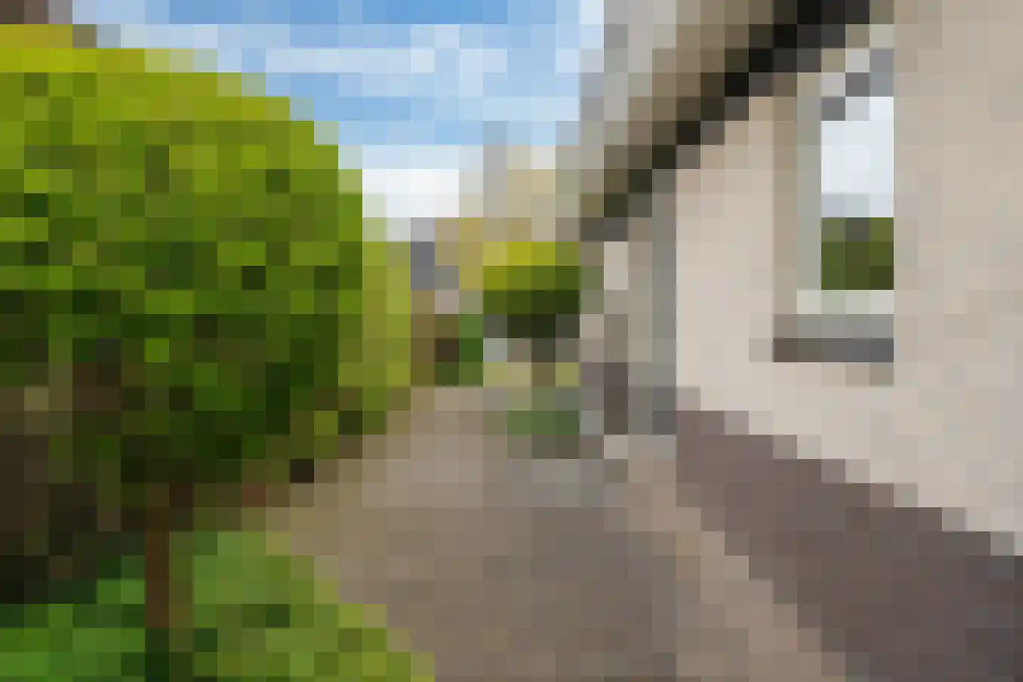 De Fûke 6 Grou thumbnail 44