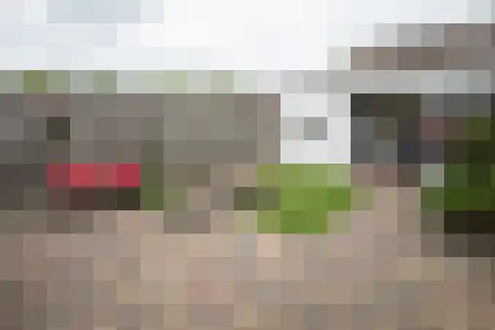 De Fuut 12 Almelo thumbnail 10