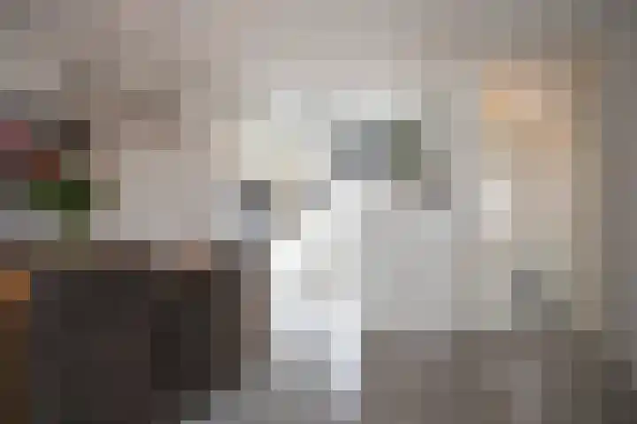 De Fuut 12 Almelo thumbnail 19