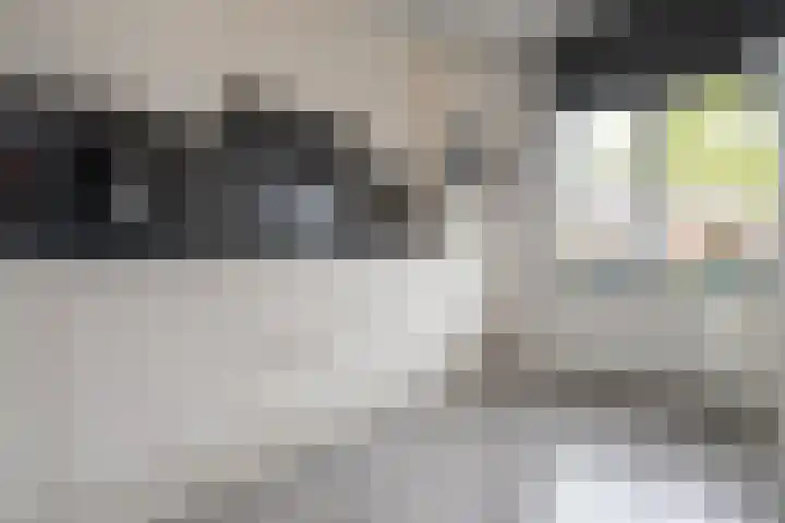 De Fuut 12 Almelo thumbnail 20