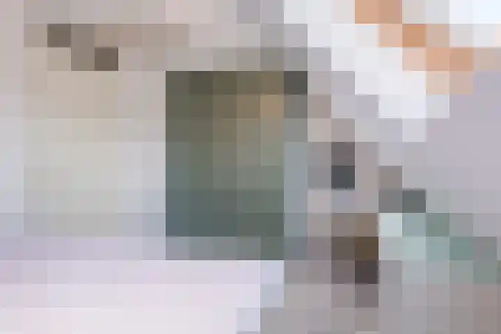 De Fuut 12 Almelo thumbnail 21