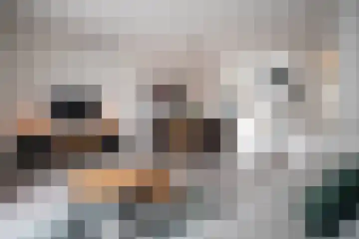 De Fuut 12 Almelo thumbnail 28