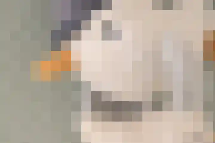 De Fuut 12 Almelo thumbnail 41