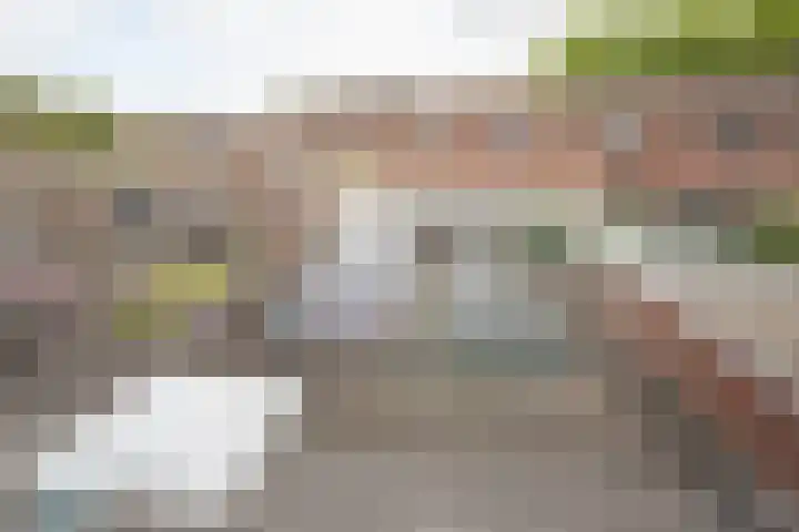 De Fuut 12 Almelo thumbnail 44