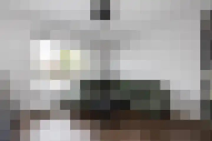 De Fuut 12 Almelo thumbnail 48
