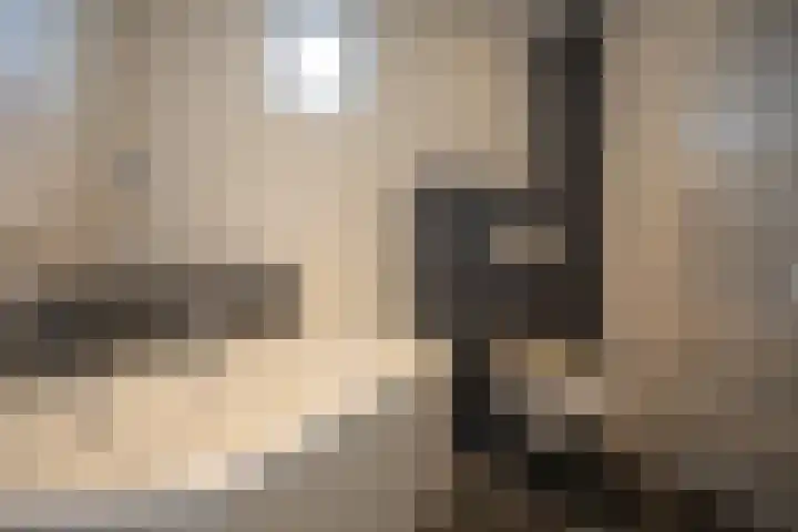 De Fuut 12 Almelo thumbnail 51