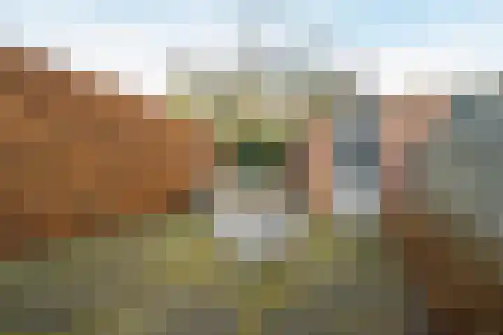 De Fuut 12 Almelo thumbnail 61