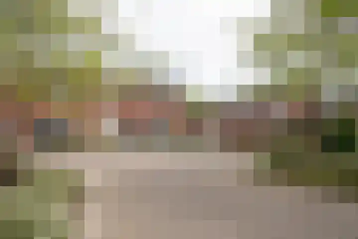 De Fuut 12 Almelo thumbnail 62