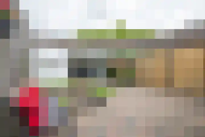 De Fuut 12 Almelo thumbnail 8