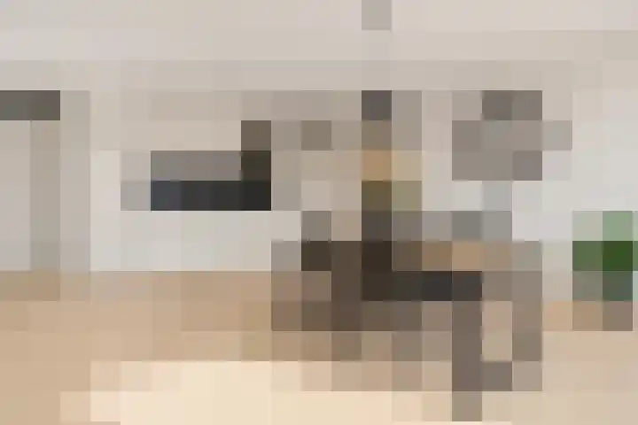 De Gaard 31 Heythuysen thumbnail 14