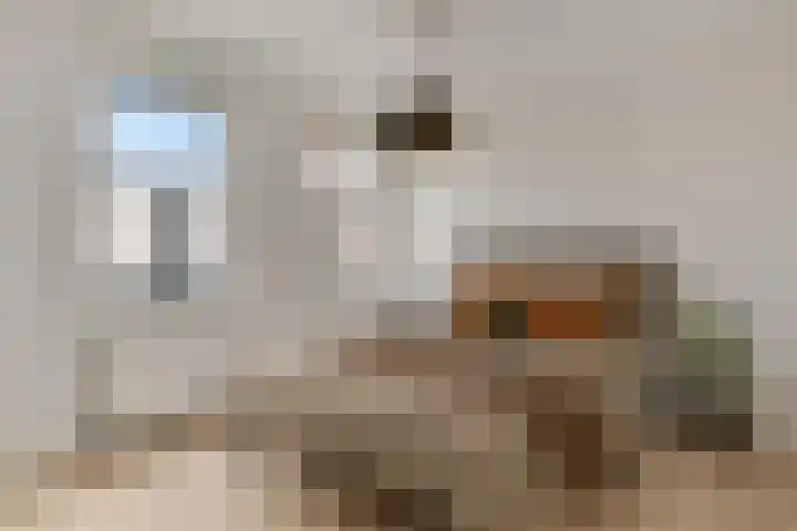 De Gaard 31 Heythuysen thumbnail 17