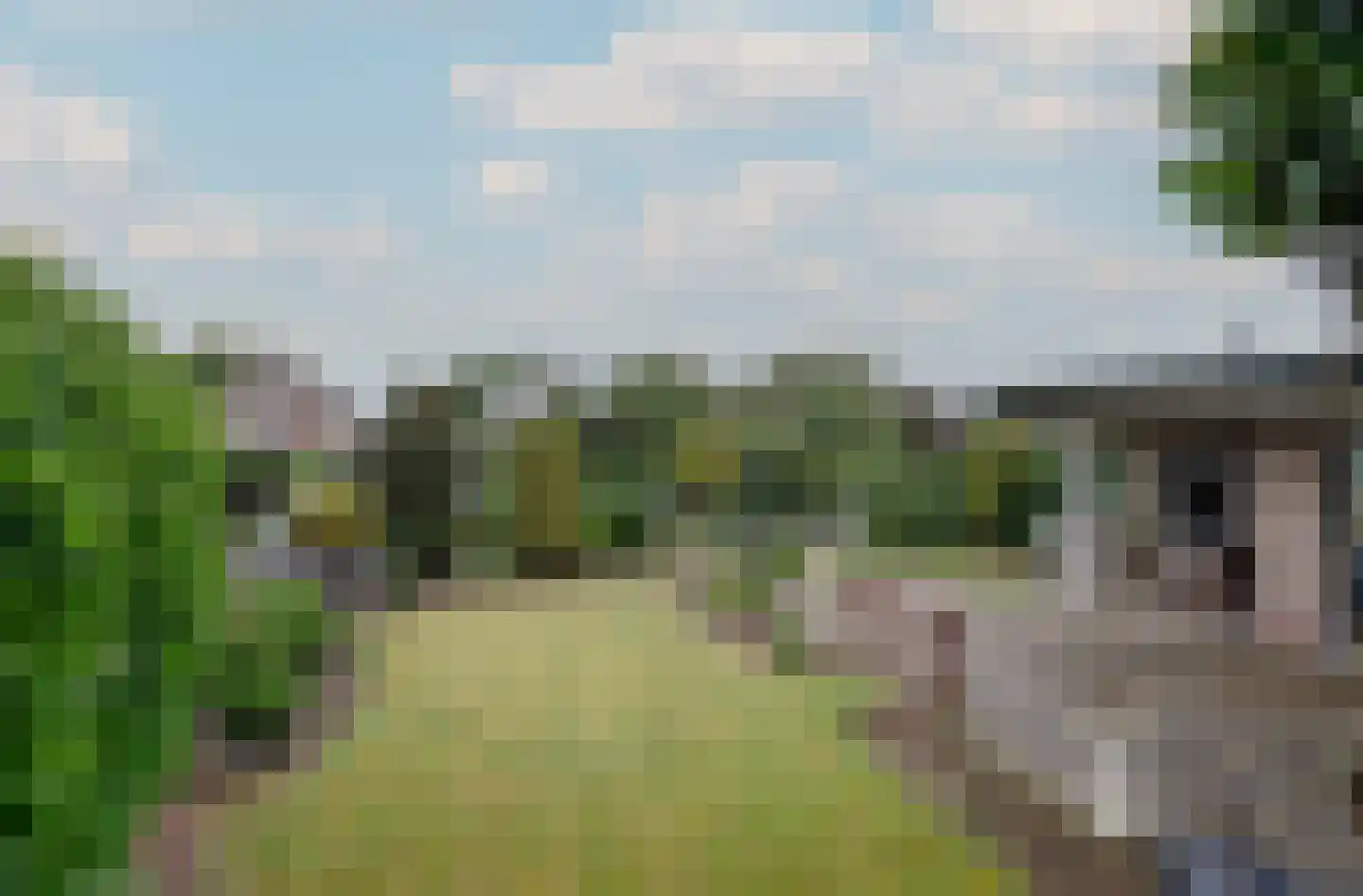 de Gaard 57 Bemmel thumbnail 23