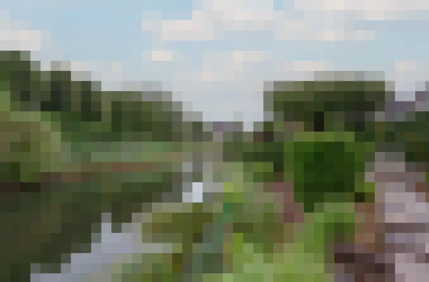 de Gaard 57 Bemmel thumbnail 24