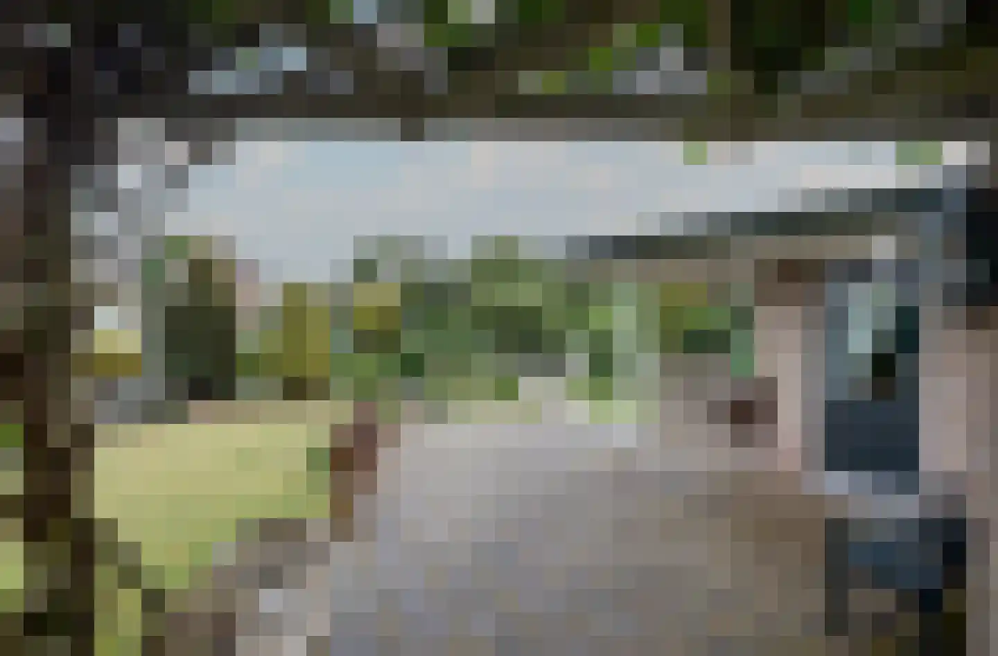 de Gaard 57 Bemmel thumbnail 4
