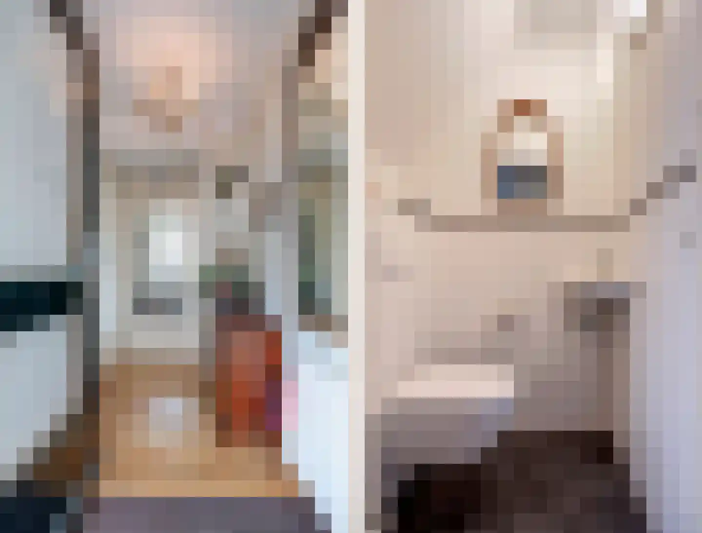 de Gaard 57 Bemmel thumbnail 7