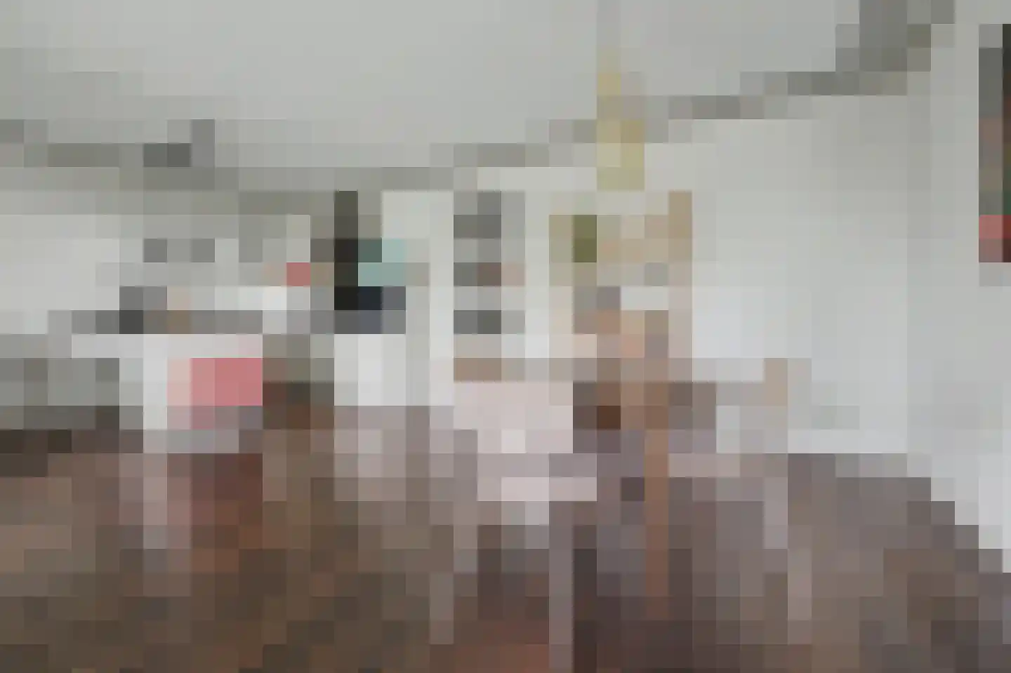 De Gaard 60 Waalwijk thumbnail 10