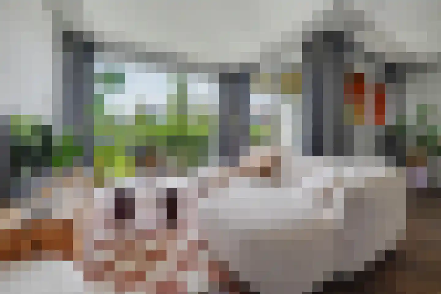 De Gaard 60 Waalwijk thumbnail 11