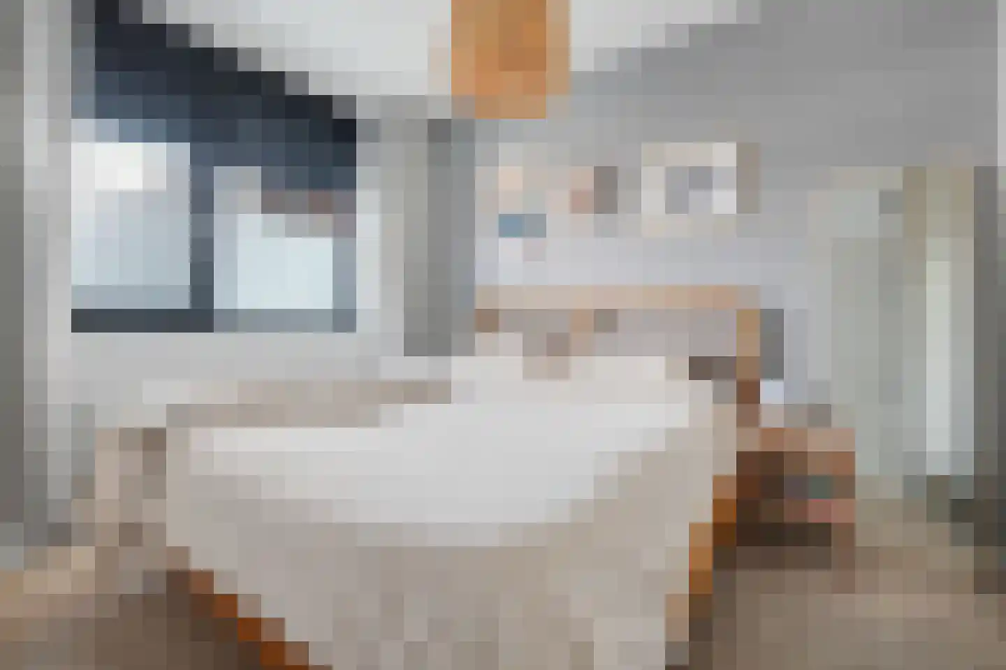 De Gaard 60 Waalwijk thumbnail 17