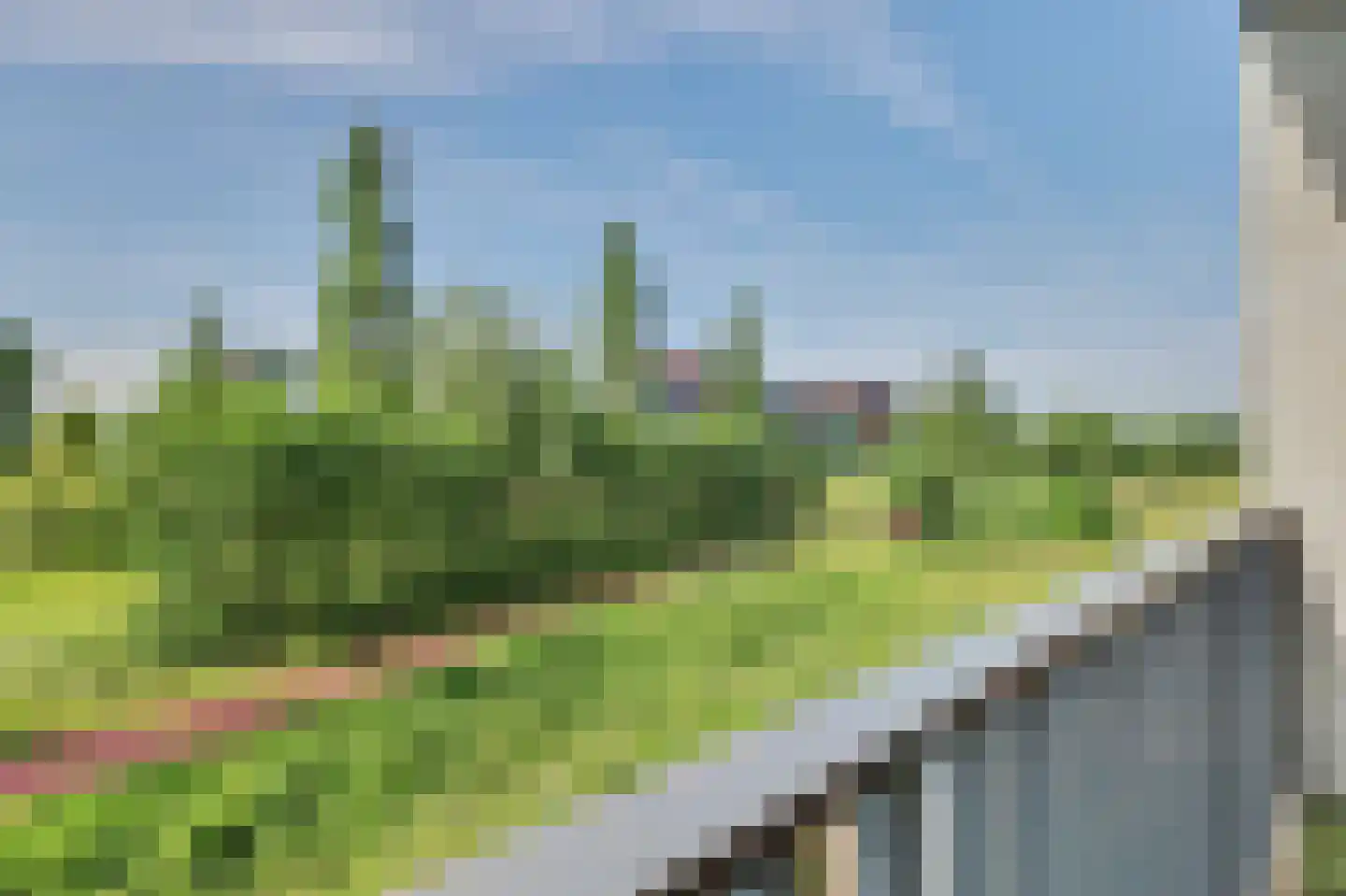 De Gaard 60 Waalwijk thumbnail 27